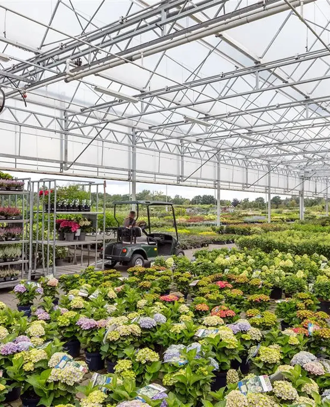 Logisztika És Export